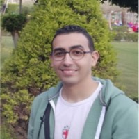 Mahmoud Damnhourie