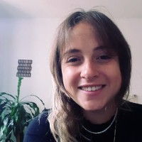 Tal Schindel