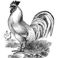 Journal Poultry,Fisheries And Wildlife Sciences