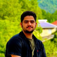 Seyed Mohammad Amin Ahmadzadeh
