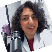 Niloufar Matoor