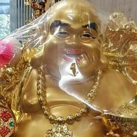 黄金舜