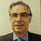João Miguel Araújo