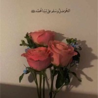 نوف العتيبي