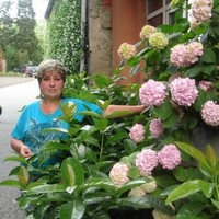 Митрохина Елена