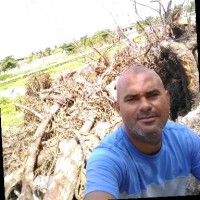 Ernando Ladislau