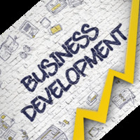 Business Developer