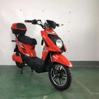 Bess Cai
