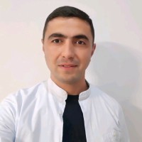 Simonyan Garik