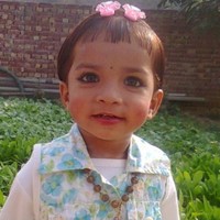 Zakir Ali