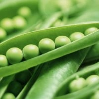 Pea Pod