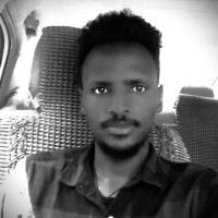 tewelde hailu