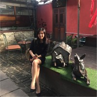 Li Ming Tan