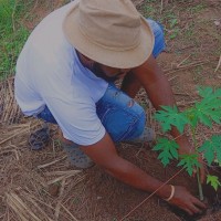 Chigozie Ogburubi IbeUro