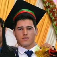 Ali Jamali