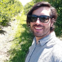 Juan Pablo Moya Azocar