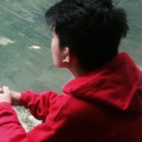 Pemar Adling