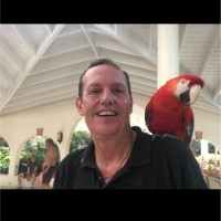 Derek Parkinen