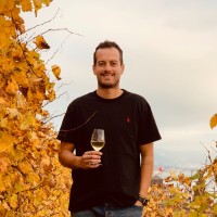 Facundo José Mirabella