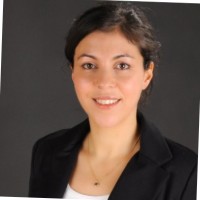 Insaf Seemann