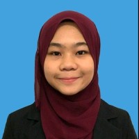 Nur Hannah Mohamad Sarip