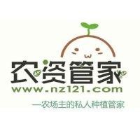 于金成