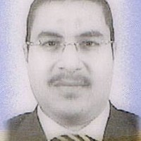Haitham Amer