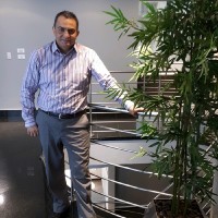 Adel Salem