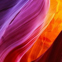 白福文