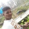 Kamal Mukhi