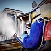 Pest Control Services