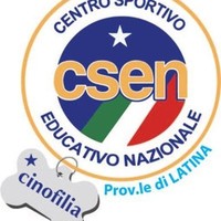 Silvio Falato