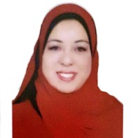 Walaa Amin