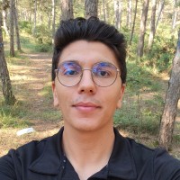 Mustafa Narin