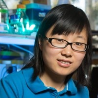 Jianyan Huang