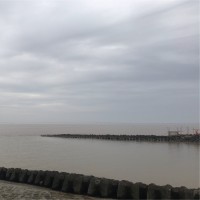 周晓龙