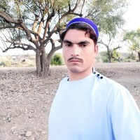 Muhammad Tariq