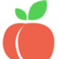 Peach IT Solutions