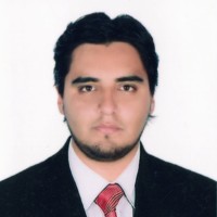 LUIS CARLOS BRAVO SOLARTE