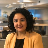 Esin Önal, Mba, Cpa, Garp Scr