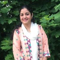 Ansa Idrees