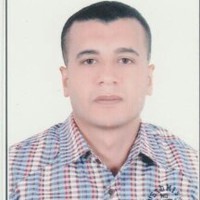 Mohamed Gamal