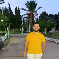 Fady hussein