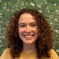 Abigail Wallach