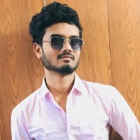 Md Shammi Ansari