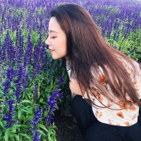 송지효