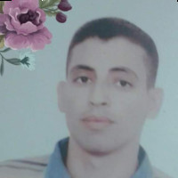 adel Mohammed