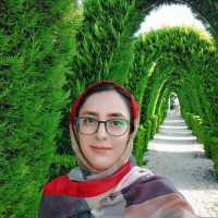 Bahareh Mohammadi
