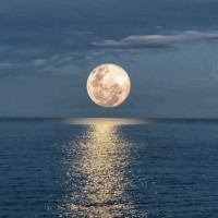 Sergio Habacuc Villanueva