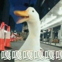 罗书琛